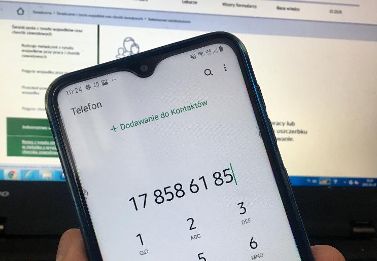 56360042